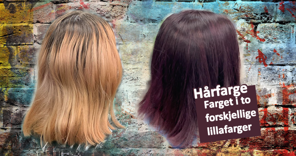 Hårfarge - farget håret i to forskjellige lillafarger
